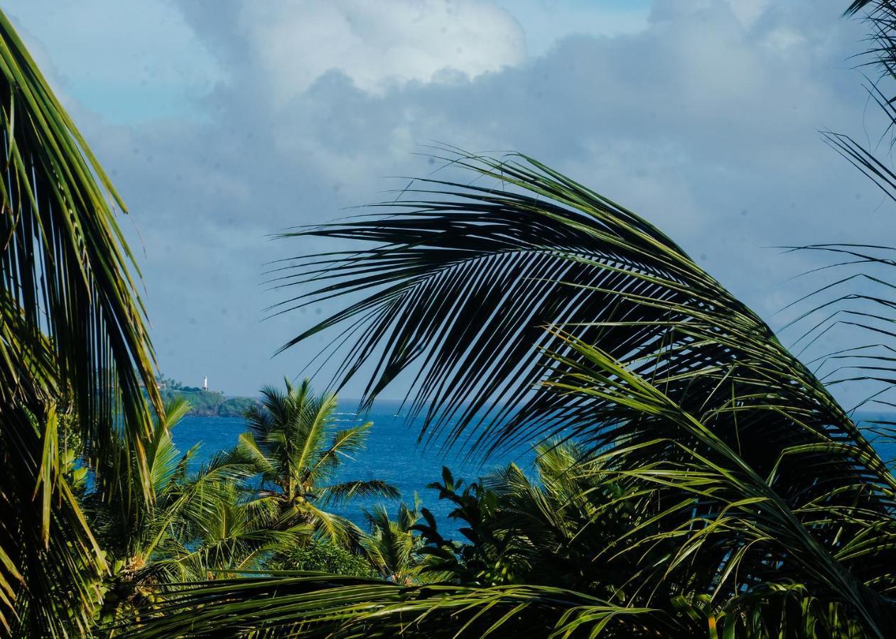 Plantation Inn Weligama Bagian luar foto
