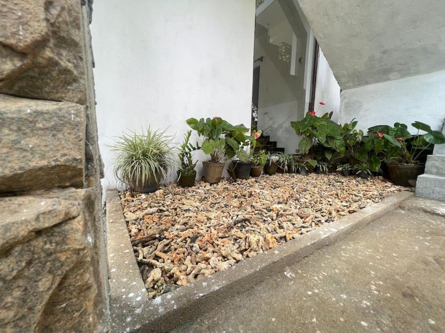 Plantation Inn Weligama Bagian luar foto